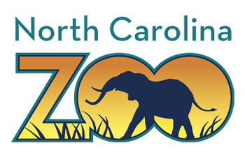 north-carolina-zoo